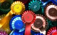 Why digital profiles could more accurately reflect students’ achievements