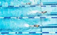 Swimmers in lanes