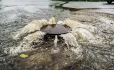 Drains overflowing