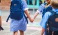 Primary mentor