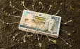 Scottish money tied to ground