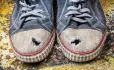 Students are missing school because they can't afford uniforms or meals, research shows