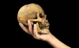 Hand holding skull English Literature