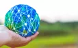 international teachers keep connected