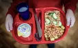 Free school meals tray