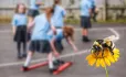 Bumblebee in playground