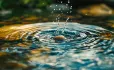Stone thrown causing ripples