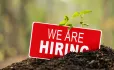 Job vacancy sign in the dirt
