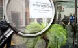 Ofsted inspection