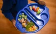 School dinner tray