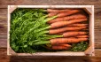 Box of carrots