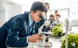 Tes' guide to the IB Middle Years Programme