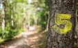Path with a hike marker
