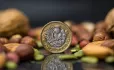 A picture of a one pound coin