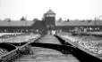 One In 20 Britons Don't Believe In The Holocaust, According To Recent Research