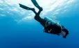 Scuba Diver Descends Into Sea