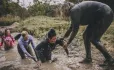 People Helping One Another Out Of A Muddy Pond