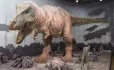 Coronavirus: How A T-rex Helped Children To Settle Back Into School After Lockdown