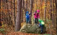 Shinrin-yoku: The Science Behind 'forest Bathing' To Boost School Pupils' Wellbeing
