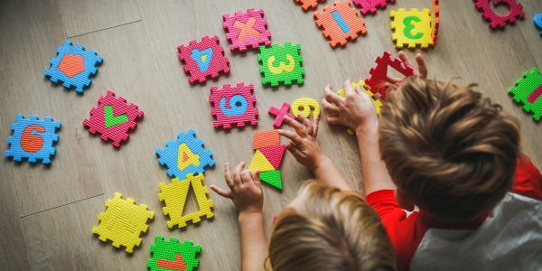 Early Childhood Environment Rating Scale: how to use it