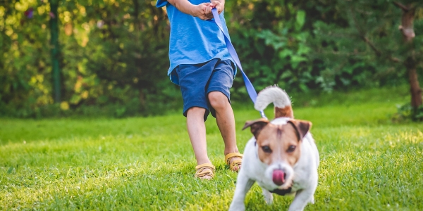 Guidance on use of physical restraint in schools 'not enough' | Tes