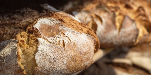 Why Curriculum Sequencing Is Like Baking Sourdough Tes Magazine Why Curriculum Sequencing Is Like Baking Sourdough Tes Magazine